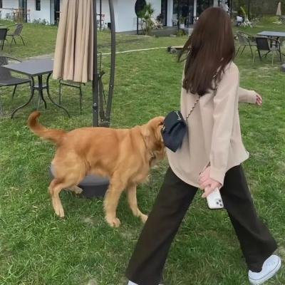 血战泰堡